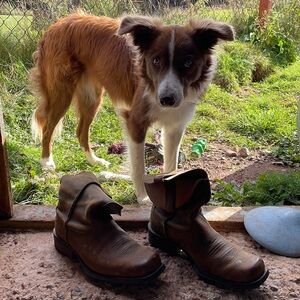 Ariat Rambler brown leather cowboy western boots